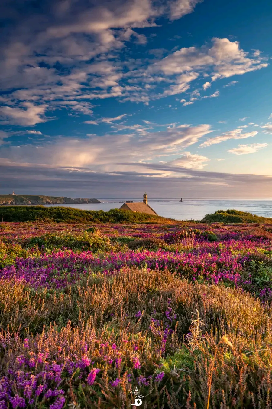 formation-terrain-geobiologie Point du Van, se former à la géobiologie en Bretagne